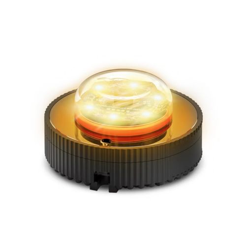 Amber-Feniex-10230001_2.jpg