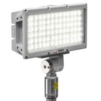 Torch Pole Light